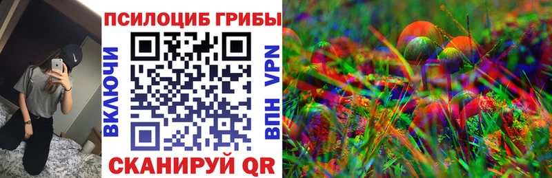 kraken зеркало Алапаевск Псилоцибиновые грибы мицелий